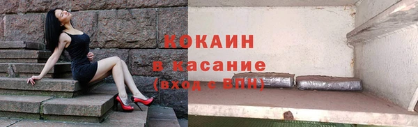 гидра Карпинск