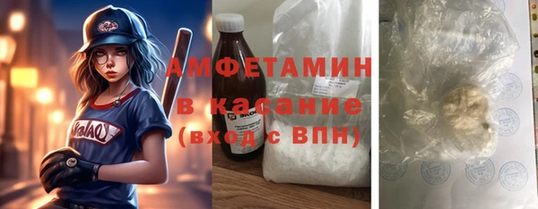 гидра Карпинск