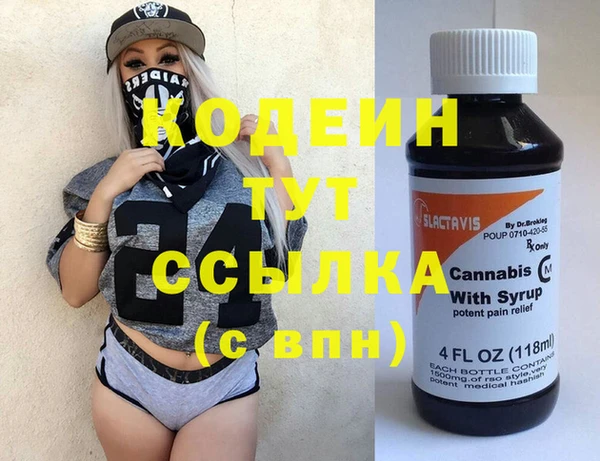 гидра Карпинск