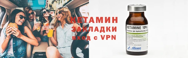 гидра Карпинск