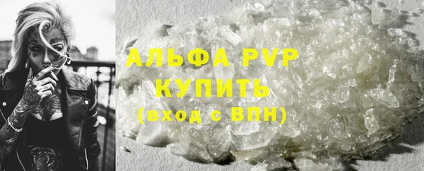 гидра Карпинск