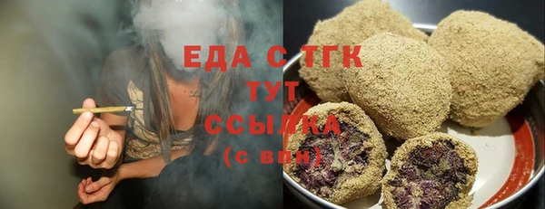 гидра Карпинск
